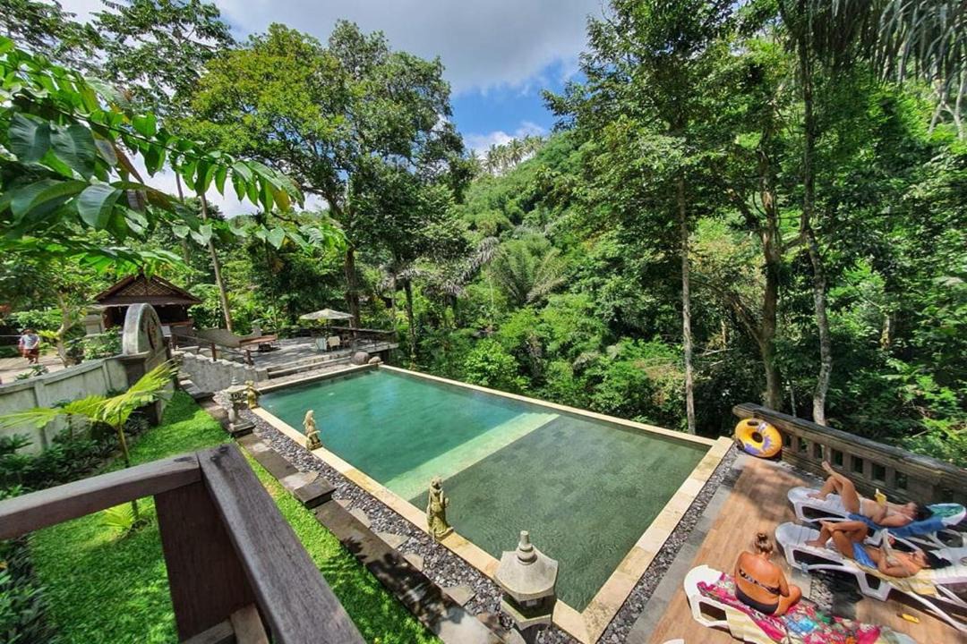Sebatu Hotel | Bali Jungle Resort
