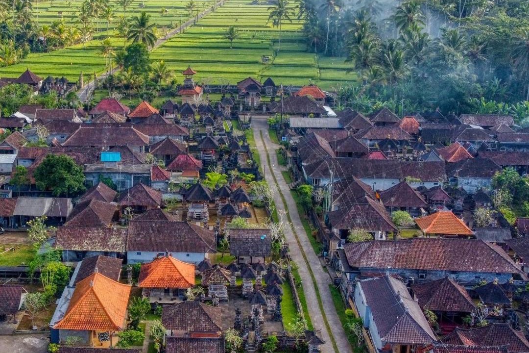 Taro House | Rural Atmosphere at Bali Coconut House in Delodsema Village