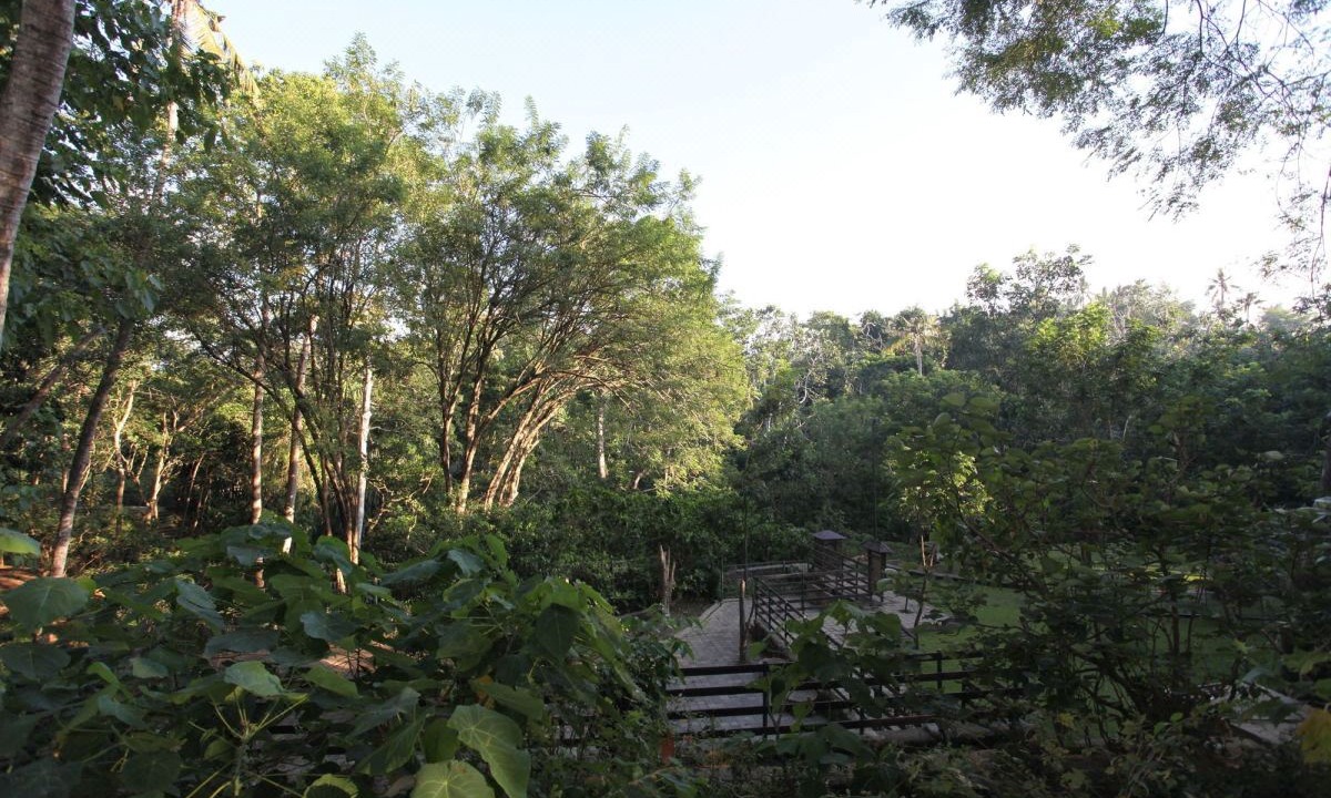 Photo of Outdoor in Nyuh Kuning