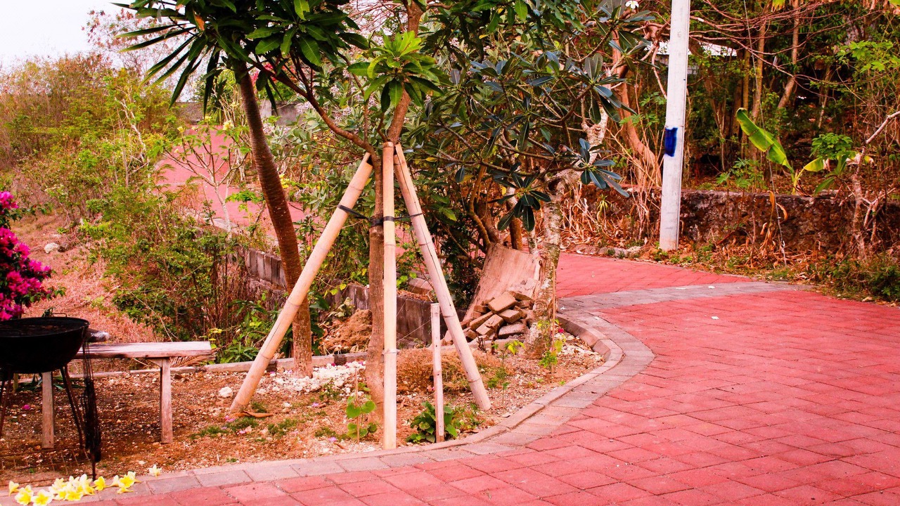 Photo of Others in Bukit