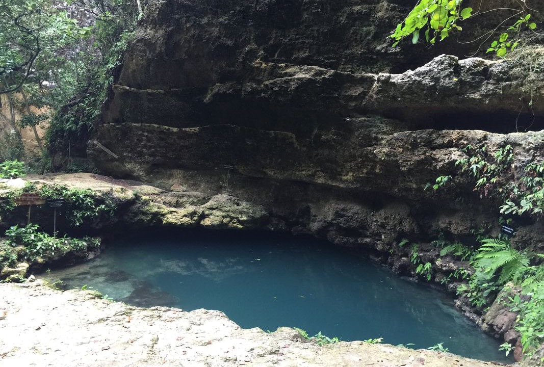 Photo of Outdoor in Penida Island