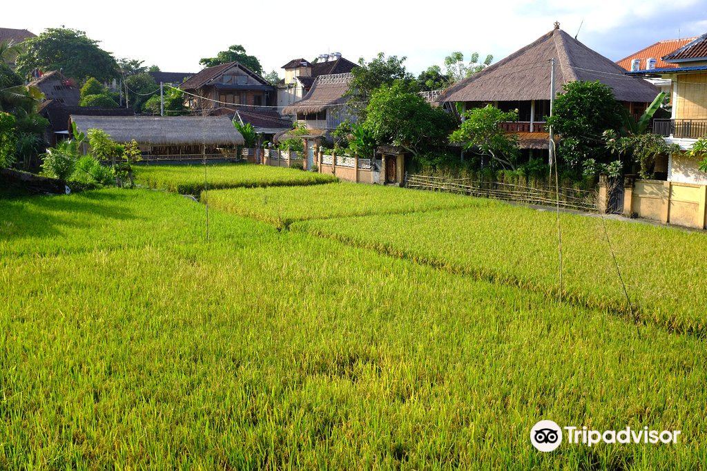 Photo of Buildings in Pengosekan