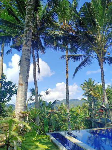 Photo of Others in Selat