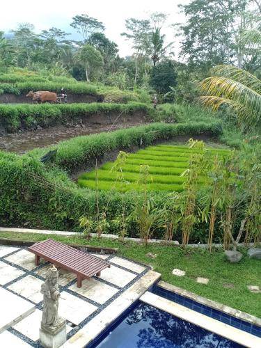 Photo of Others in Selat