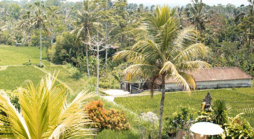 Photo of Outdoor in Taro
