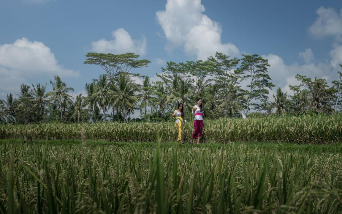 Photo of Others in Sambahan