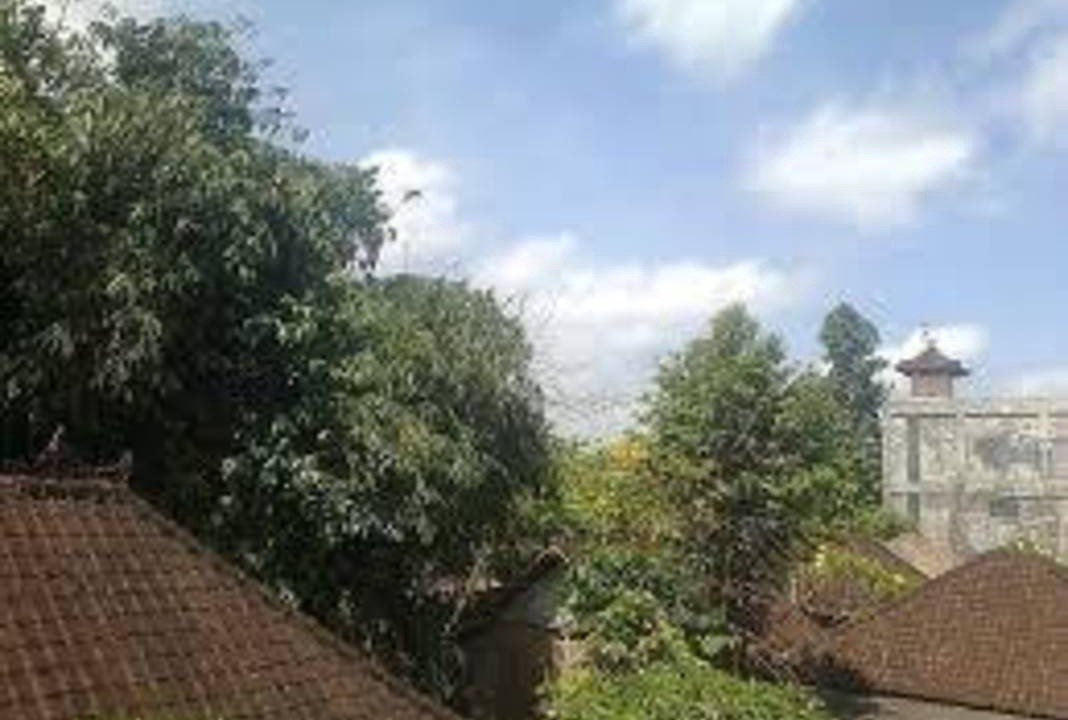 Photo of Others in Pengosekan