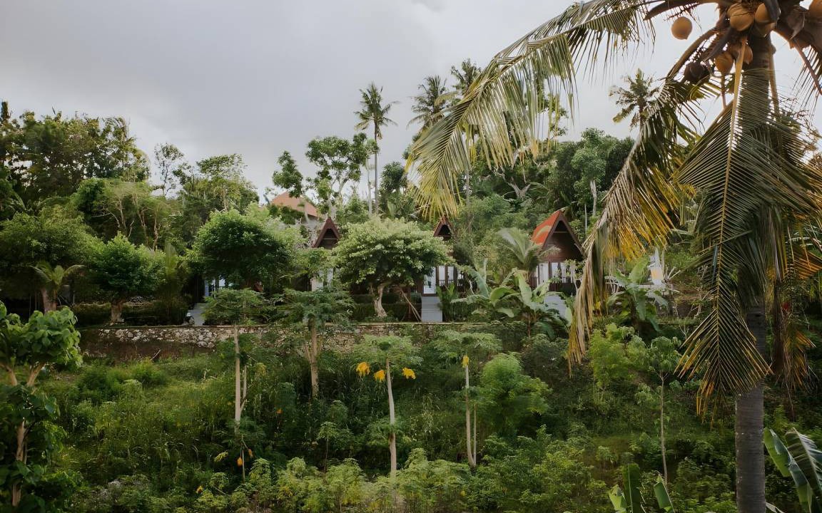 Photo of Others in Penida Island