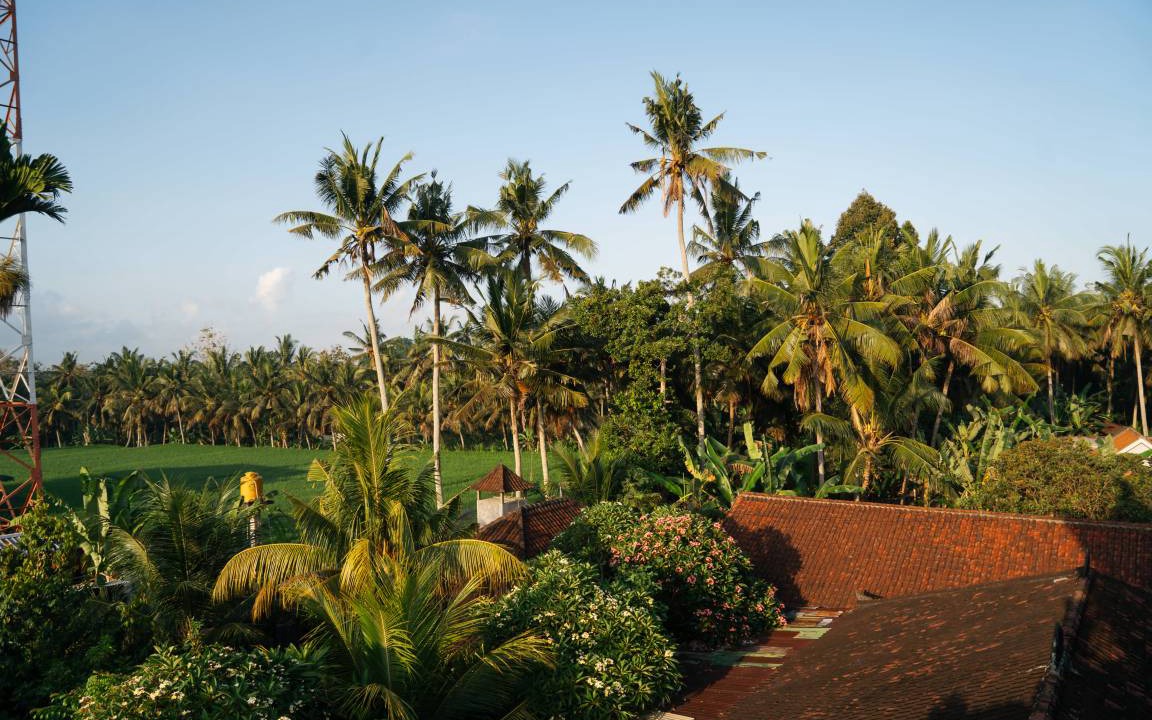 Photo of Others in Pengosekan