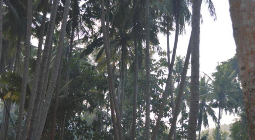 Photo of Others in Penida Island