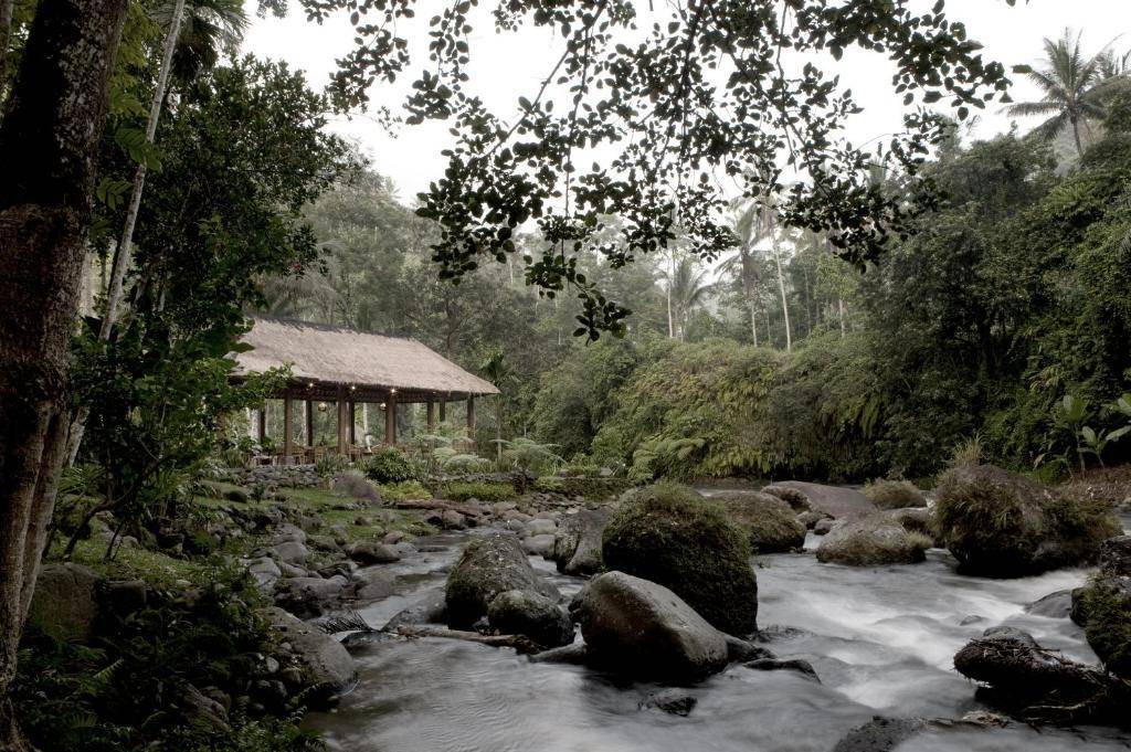 Photo of Others in Ubud