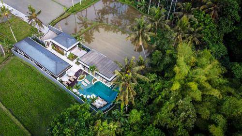 Photo of Outdoor in Pejeng Kawan