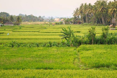 Photo of Others in Lodtunduh