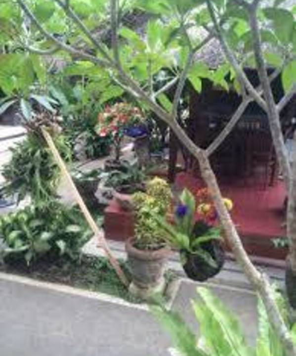 Photo of Others in Pengosekan