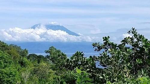 Photo of Others in Penida Island