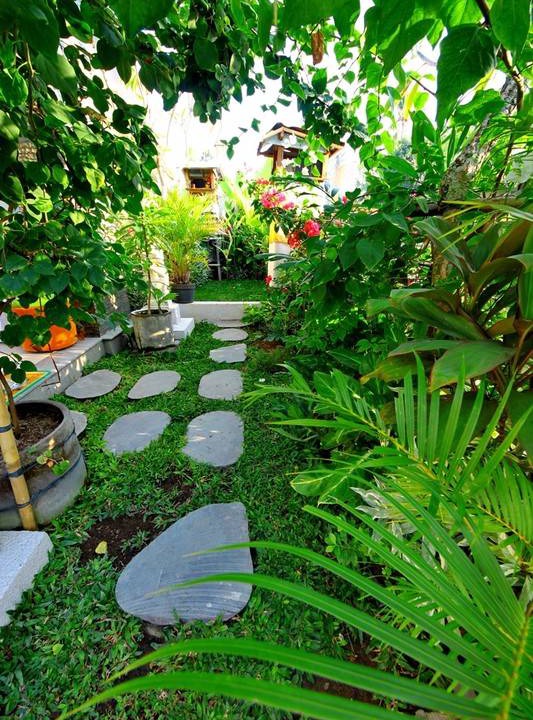 Photo of Others in Saba