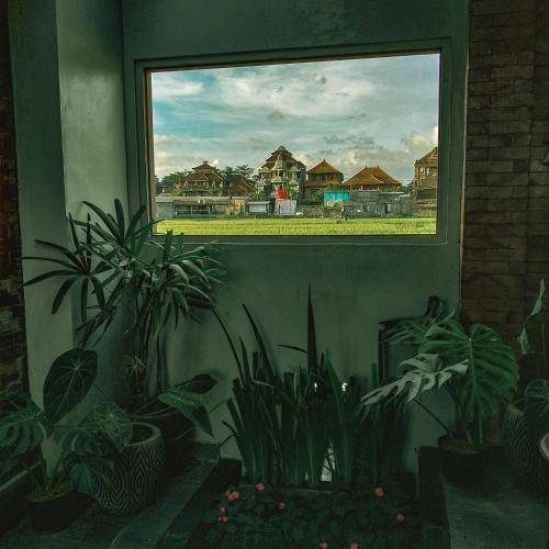 Photo of Others in Peliatan