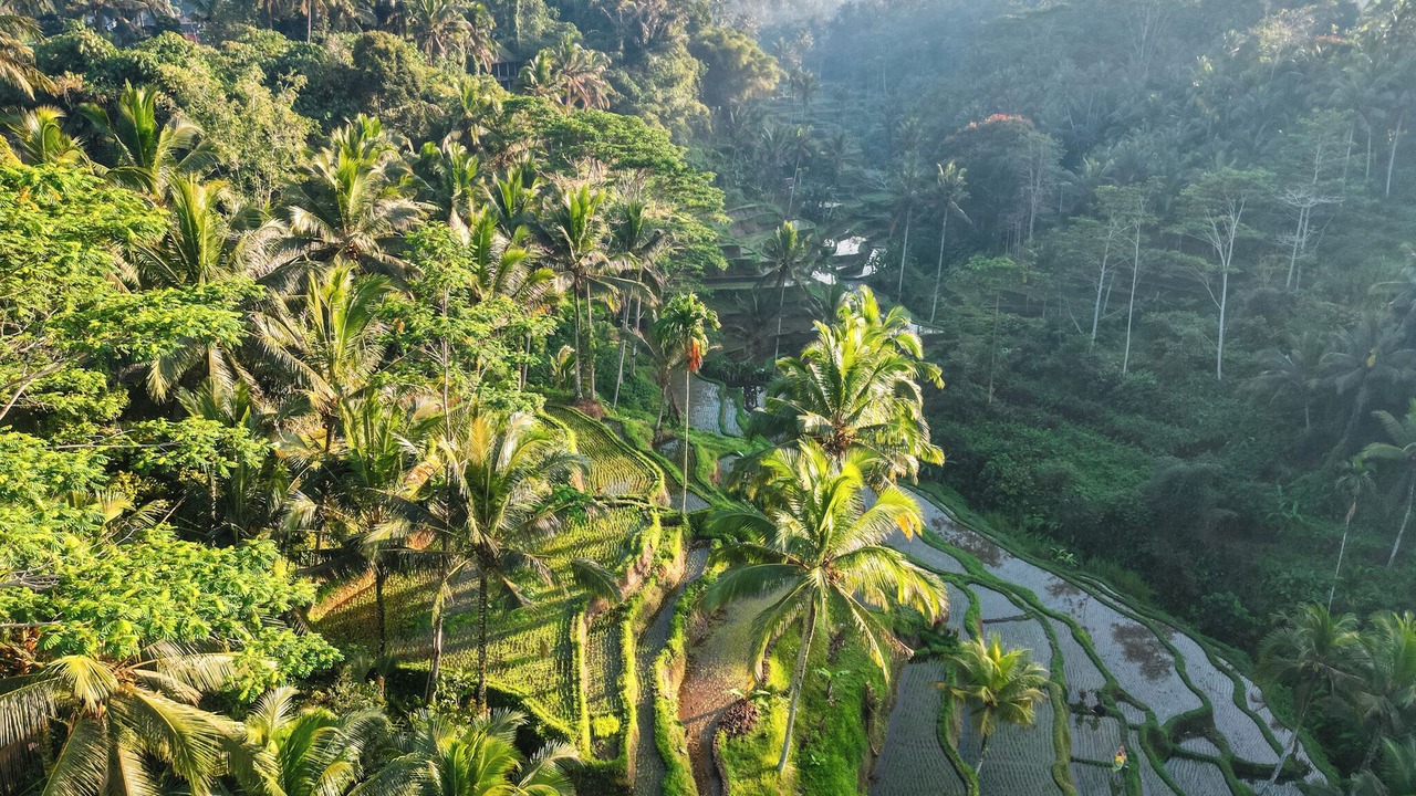 Photo of Others in Payangan