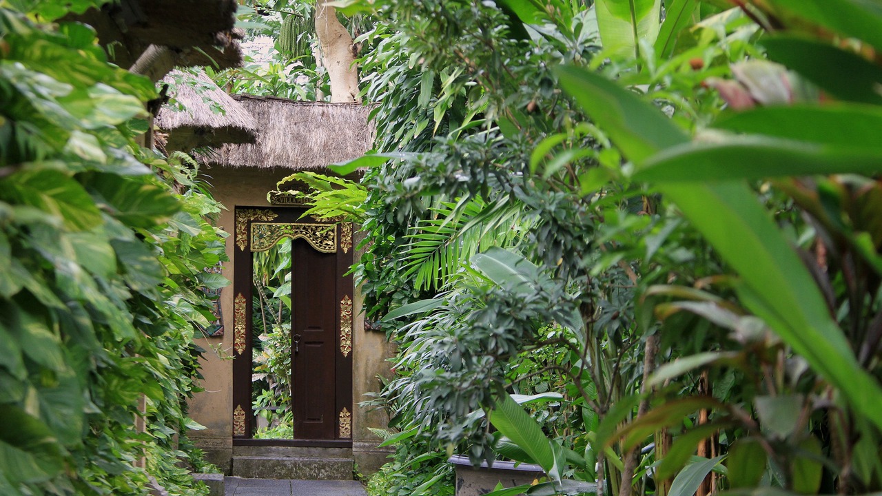 Photo of Outdoor in Petitenget