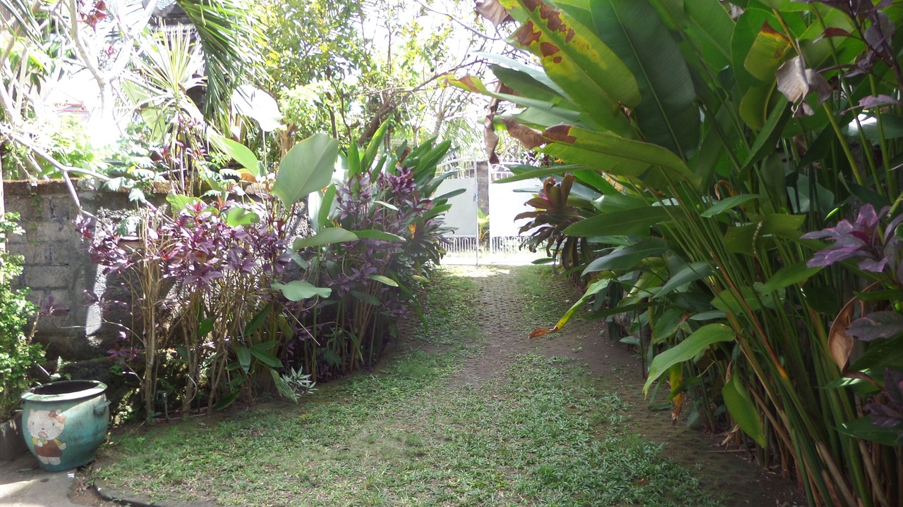 Photo of Outdoor in Jimbaran