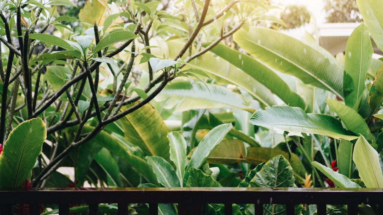 Photo of Outdoor in Sukasada