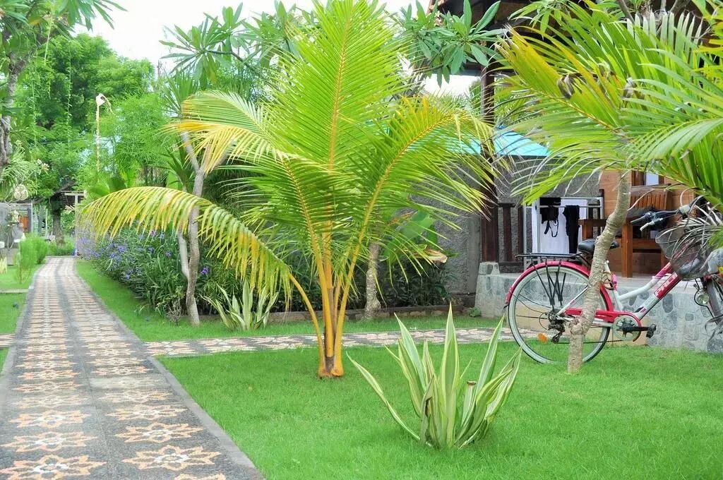 Photo of Outdoor in Sampalan