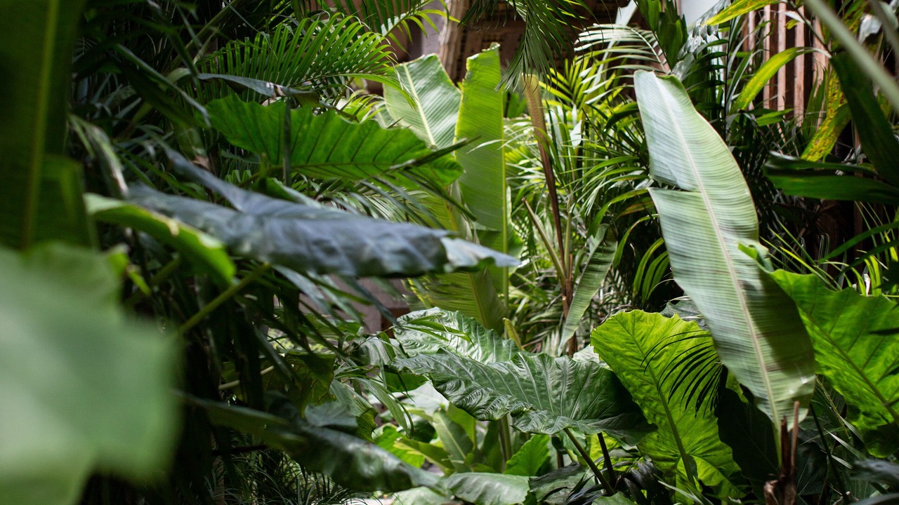 Photo of Outdoor in Uluwatu