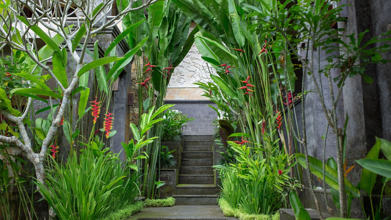 Photo of Outdoor in Kutuh Kaja