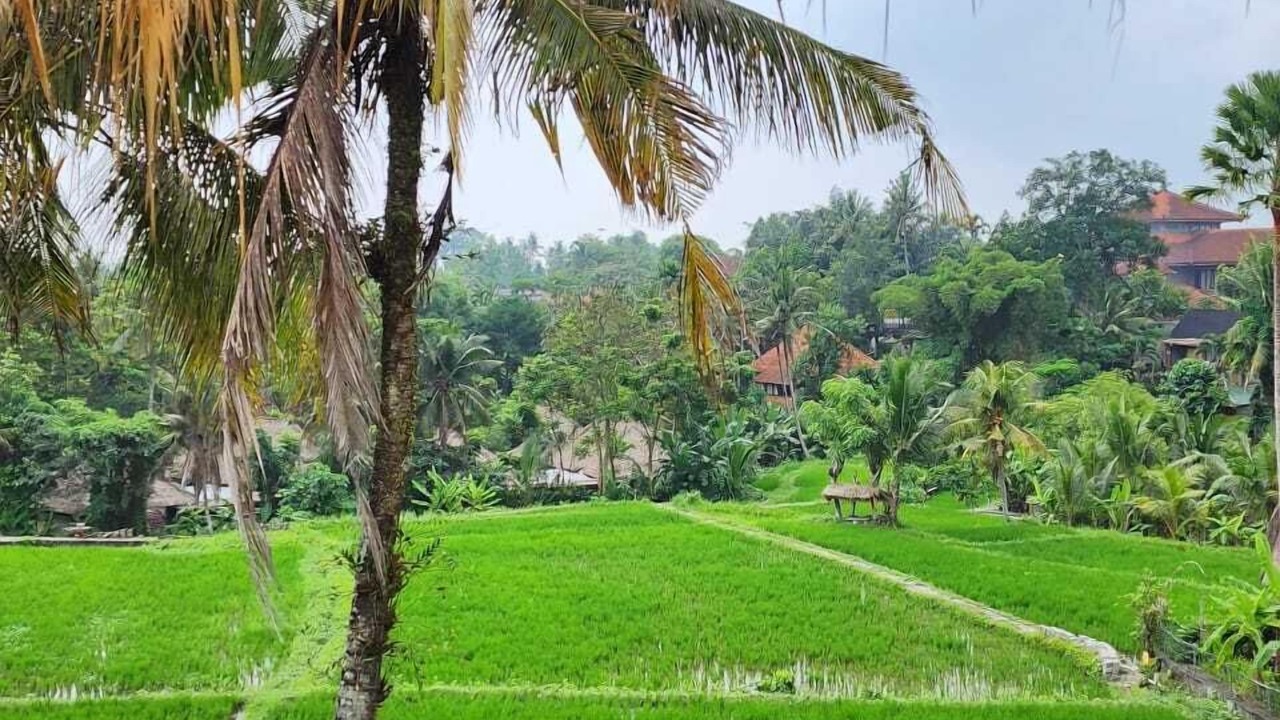 Photo of Others in Pengosekan