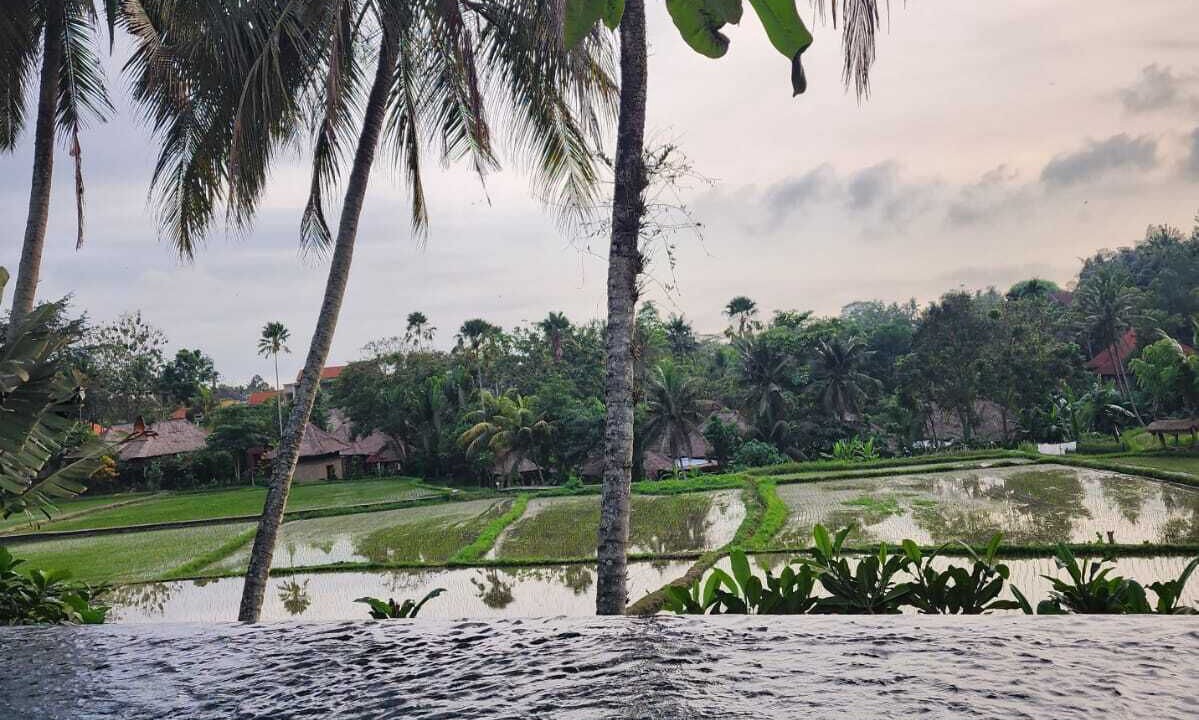 Photo of Outdoor in Pengosekan