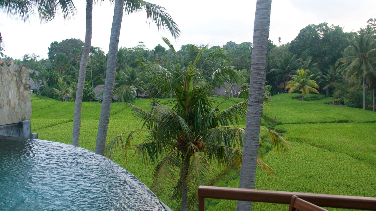 Photo of Outdoor in Pengosekan