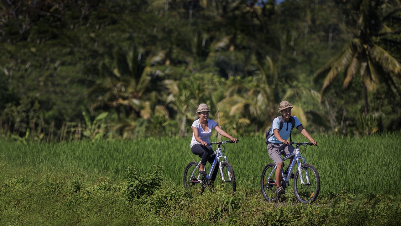Photo of Outdoor in Sebatu