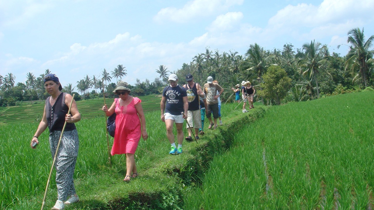 Photo of Outdoor in Blimbing
