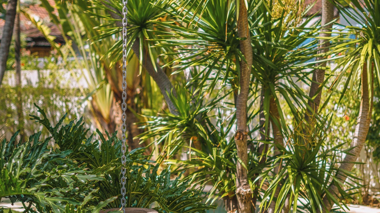 Photo of Outdoor in Sunset Road