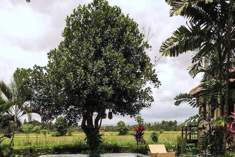 Photo of Outdoor in Lodtunduh