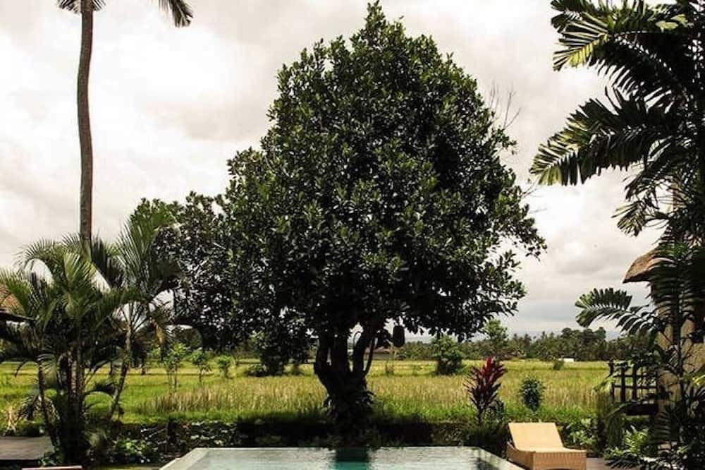 Photo of Outdoor in Lodtunduh