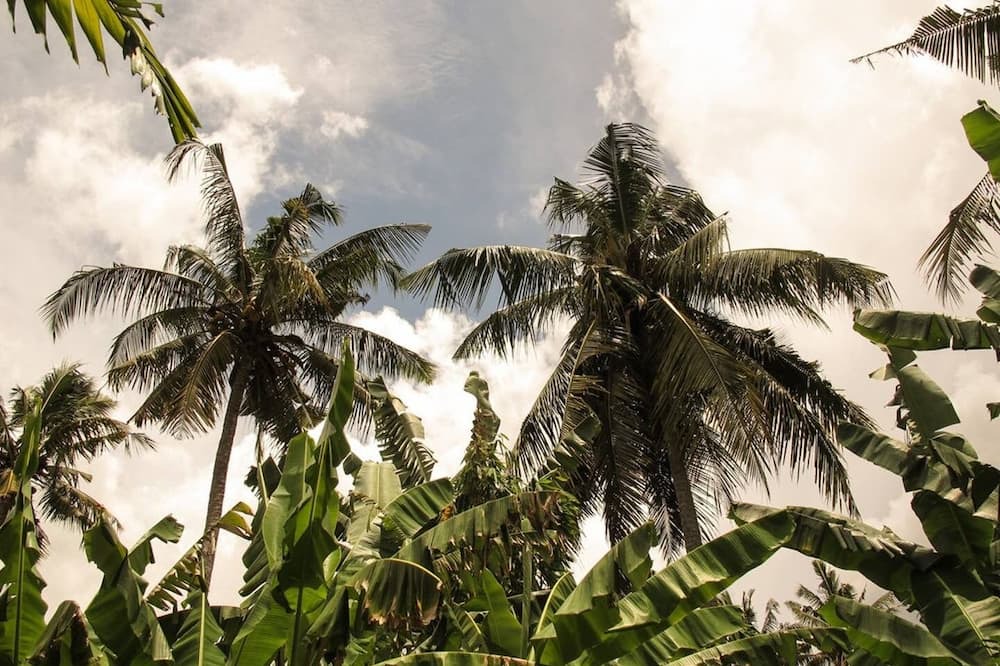 Photo of Outdoor in Lodtunduh