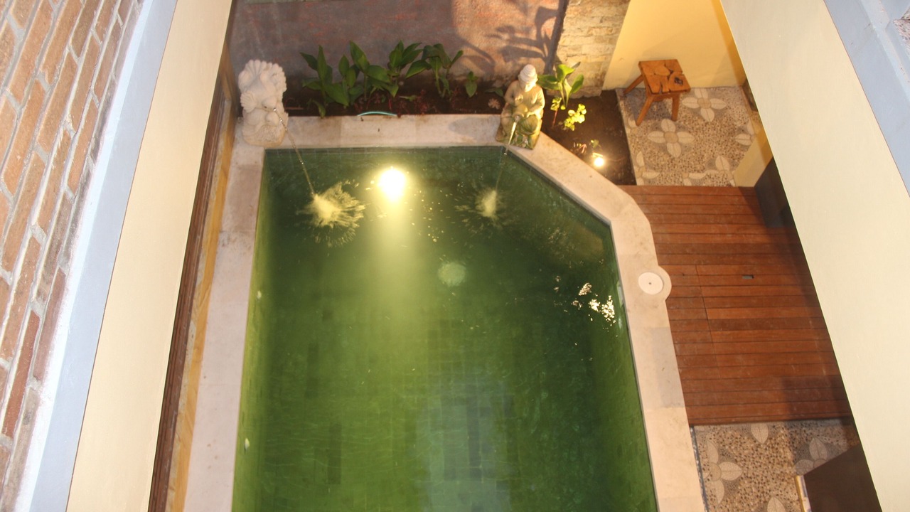 Photo of Outdoor in Sanur Kauh