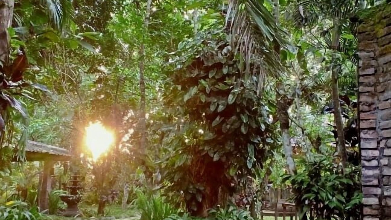 Photo of Outdoor in Mendut