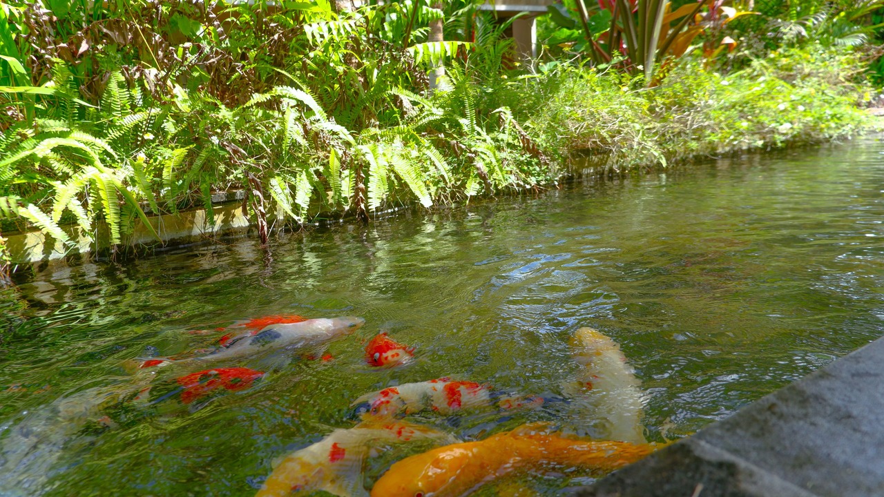 Photo of Outdoor in Nyuh Kuning