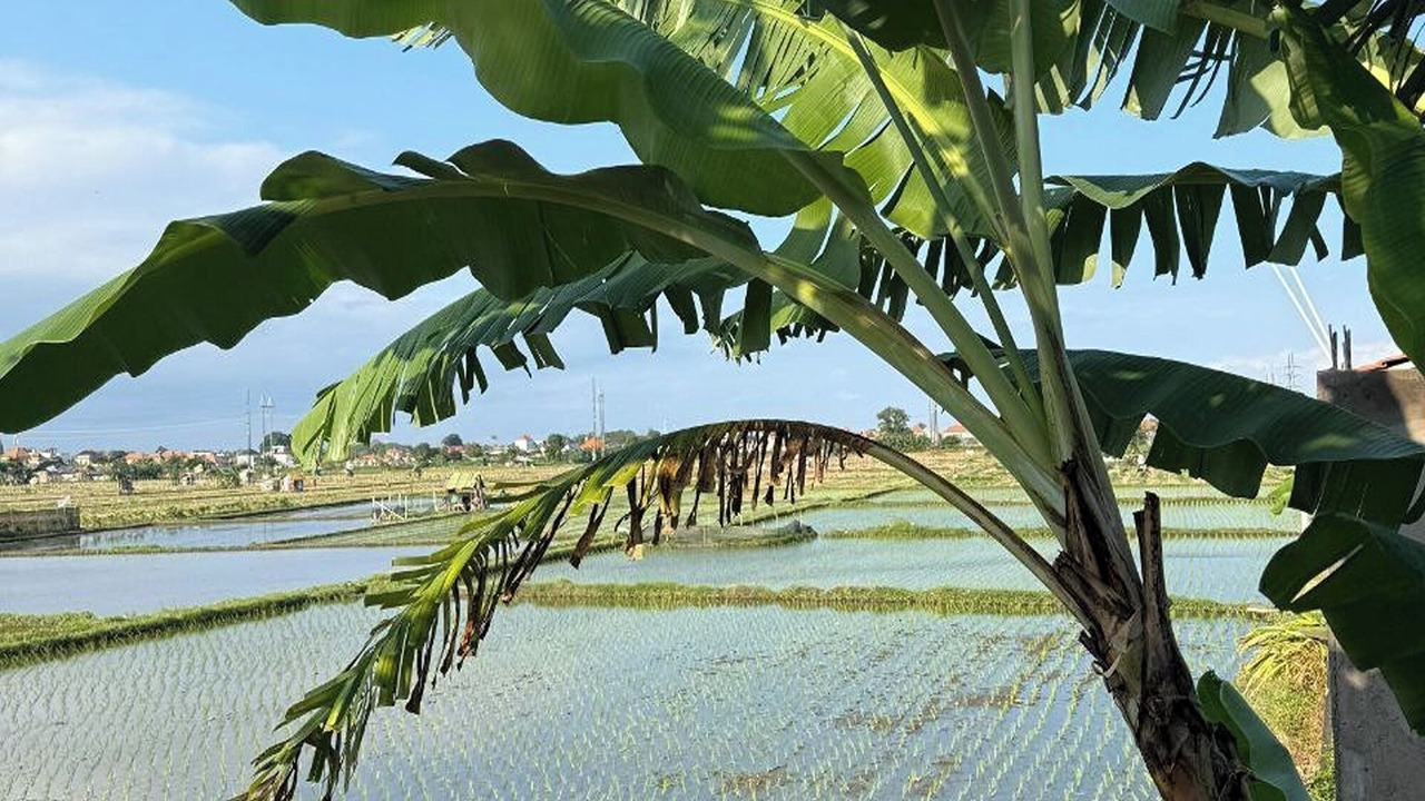 Photo of Outdoor in Renon