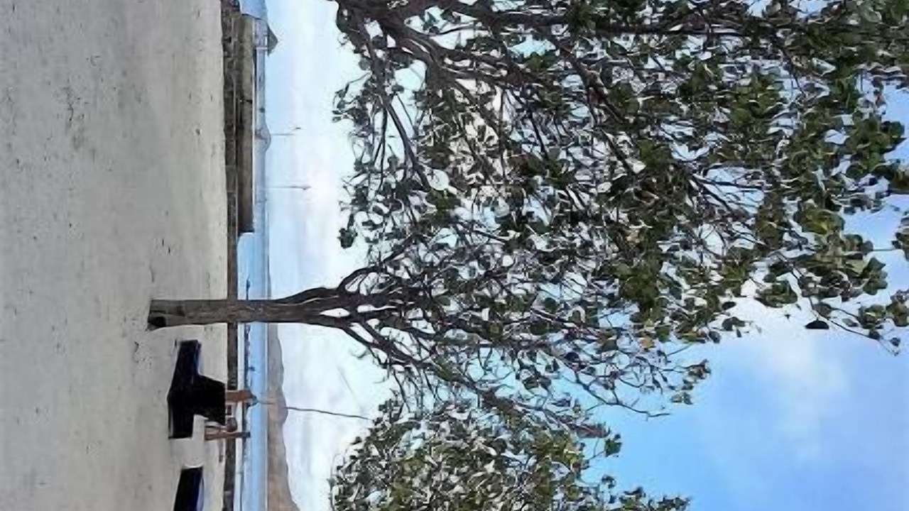 Photo of Others in Gili Gede