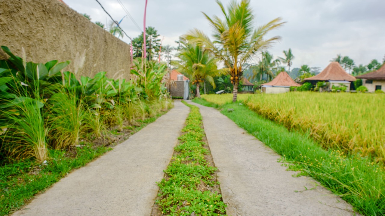 Photo of Outdoor in Sebatu