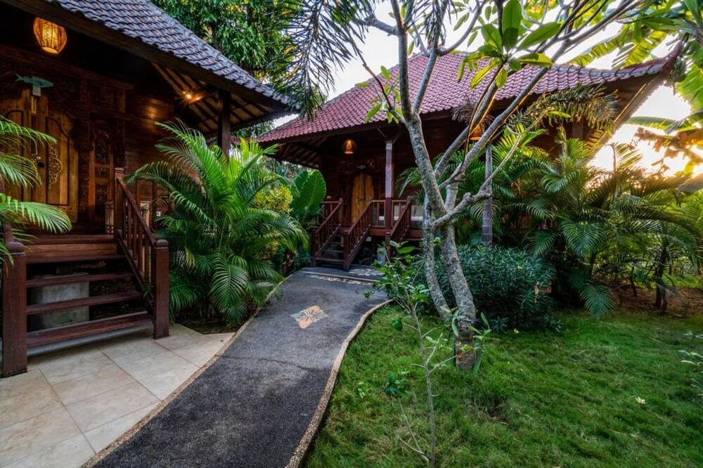 Photo of Outdoor in Mushroom Bay