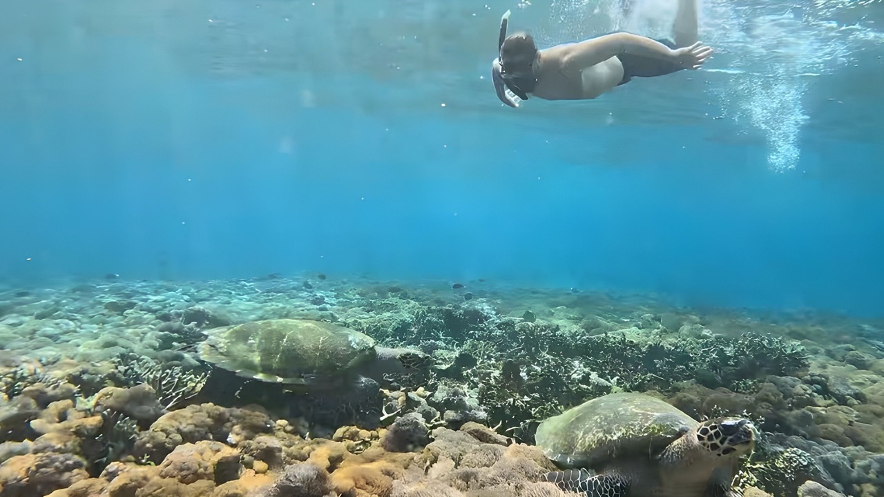 Photo of Others in Penida Island