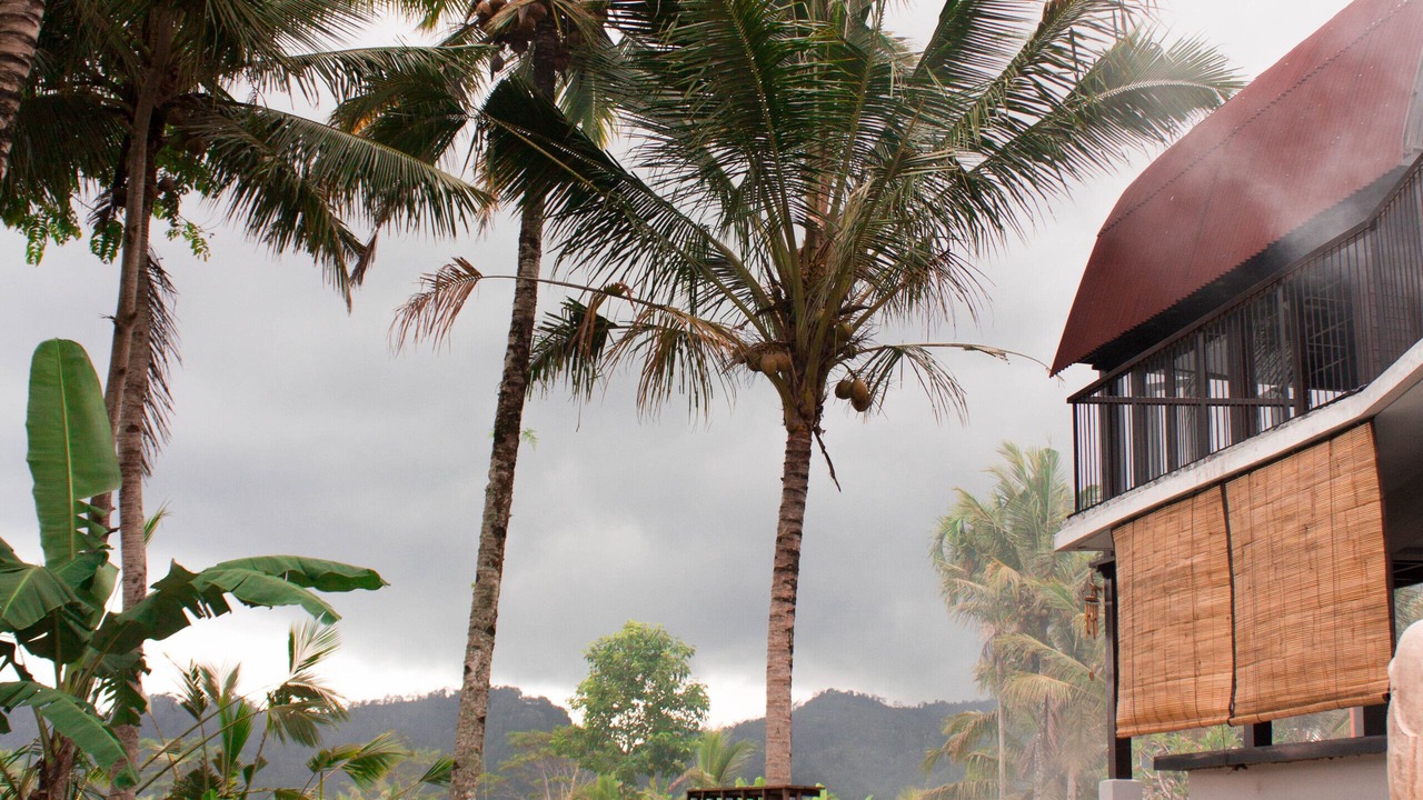Photo of Outdoor in Selat