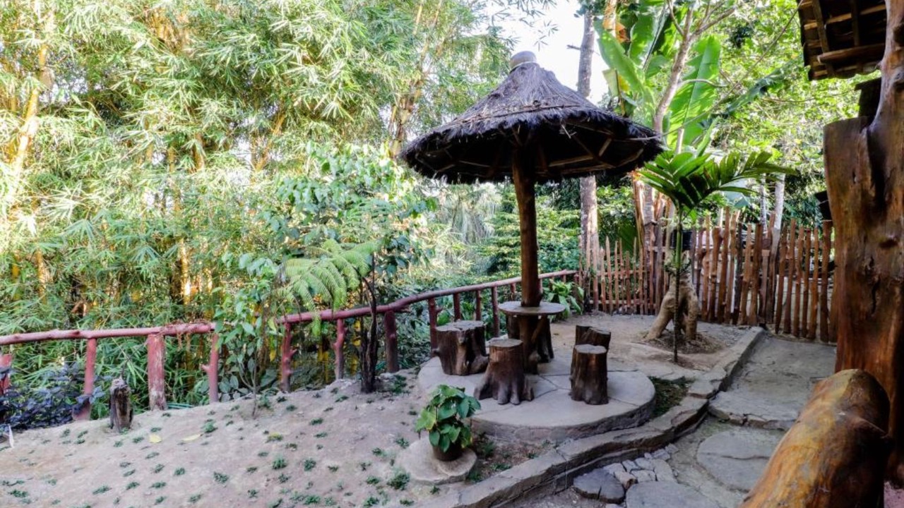 Photo of Outdoor in Kalirejo