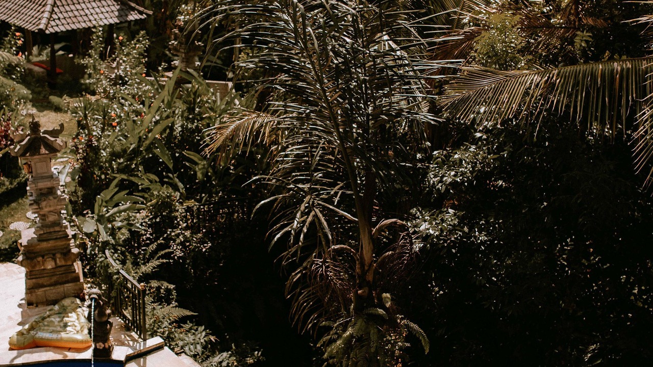Photo of Outdoor in Selat
