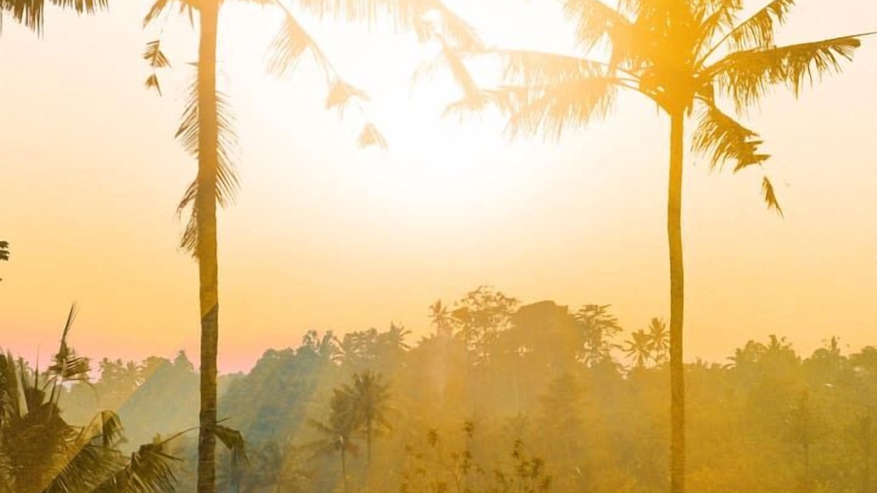Photo of Others in Selat
