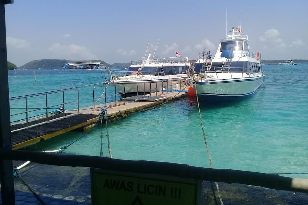 Photo of Others in Penida Island
